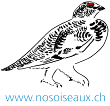 Nos Oiseaux logo